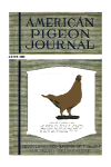 Cover. click for larger image